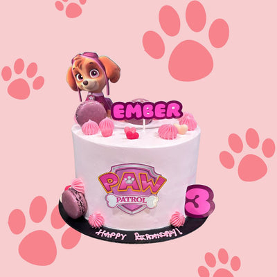 Paw Patrol Skye Cake