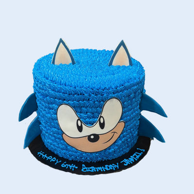 Sonic the Hedgehog Celebration