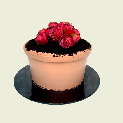 Mini red roses in the pot