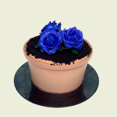 Blue roses in the pot